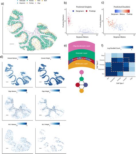 Robust decomposition of cell type mixtures in spatial transcriptomics